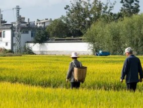 多位专家建言上调农民养老金