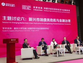 聚焦新兴市场债务危机与金融治理：构建有效合作框架，维护区域和全球金融稳定