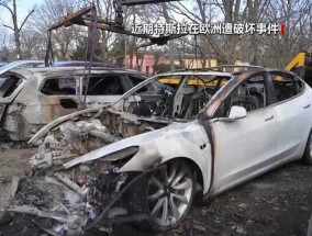 特斯拉双重危机：美国门店频遭袭击，欧洲市场份额缩水至1.1%