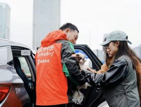 滴滴快送宠物专送：为宠物商家节省成本 扩大服务范围