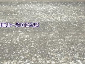 郑州闹市“天屎之路”引争议