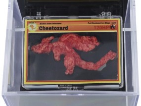口袋妖怪形状的奇多“Cheetozard”在拍卖会上以87,840美元的价格售出