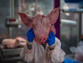 美联社图片：肉和问候：历史悠久的伦敦市场倒计时