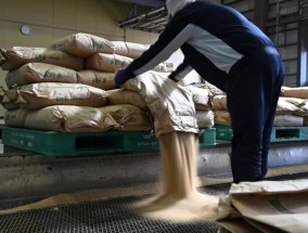 5公斤216元，日本大米价格上涨92.1%！蔬菜价格也大幅上涨，部分地区学生面临“米饭减供”