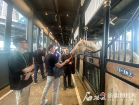 媒体大咖看新疆丨“中国新疆的城市非常繁华，处处都充满活力”