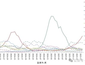 新冠病毒又抬头？钟南山发声