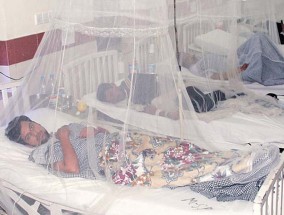 H1N1流感病例在大城市激增