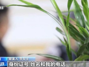 接到陌生电话下载来历不明App，她被骗走近百万元