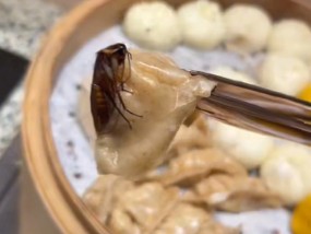 游客在长沙桔子酒店吃出蟑螂，酒店方回应：已在配合调查