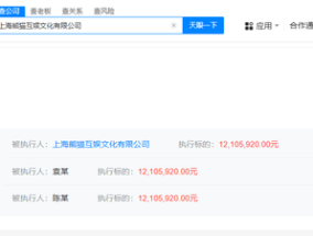 王思聪名下熊猫互娱被执行1210万，此前公司已破产