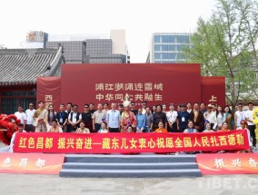从西藏洛隆到首都北京：在文化交流中读懂“何以中国”