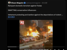 身家缩水近8200亿元，马斯克“参政”引火烧身！特斯拉遭纵火、打砸、枪击，销量下滑，股价“腰斩”，车主被“开盒”