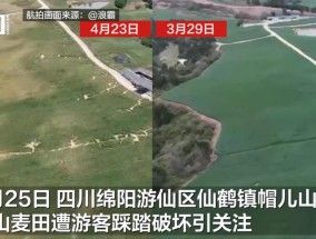 四川网红麦田1个月被踩得伤痕累累，村民：免费打卡点，游客多劝不住，可能影响收成