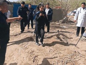 下井救人女辅警，破格晋升