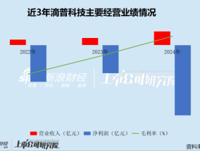 滴普科技港股IPO：3年累亏24亿 资产负债率高达965% 现金储备仅能覆盖一年运营成本