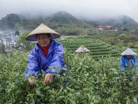 中国经济：浙江对2035年共同繁荣的承诺