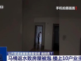 马桶返水致房屋被泡楼上10户业主集体被诉谁应担责？