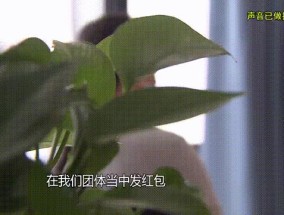 自己吃泡面仍坚持给男网友转账！37岁女子倾尽百万掏空积蓄，民警揭开骗局真相