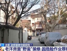 能挖多大挖多大？两男子私拆承重墙、擅自挖地下室获刑