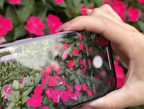 智能手机相机控制的兴起：苹果设定了标准
