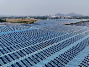 【中国那些事儿】科技赋能可持续发展中国为全球生态治理点燃新引擎