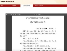 月收入4784元负债2544万元，深圳一女子申请破产