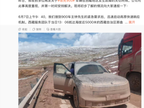高管回应领克900西藏“趴窝”事件：加装防虫网引发散热不良
