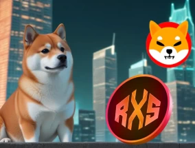 忘记柴犬吧：在50天内发现3个准备爆炸1500%的柴犬对手
