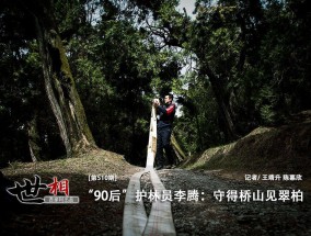 守得桥山见翠柏