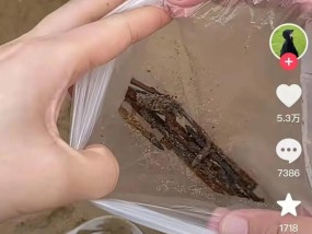 女子在沙滩玩20分钟捡了小半兜生锈铁钉