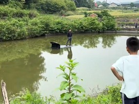 汽车坠塘后邵阳“淡定哥”双手插兜站车顶，当事人回应走红：吓到了，当时手脚发软