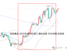 张尧浠:高通胀与低增长双重预期 金价牛市前景仍良好