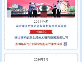 踏浪向前 打开增量新通道！一图读懂格林美2024年业绩报告