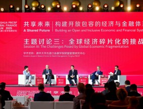 如何应对全球经济碎片化的挑战？欧阳卫民：“大家好才是真的好”