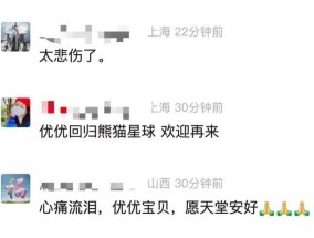 大熊猫“优优”因病抢救无效去世，网友：太心痛