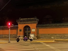 悬赏10万找鸽子，拍成电影能多抽象？